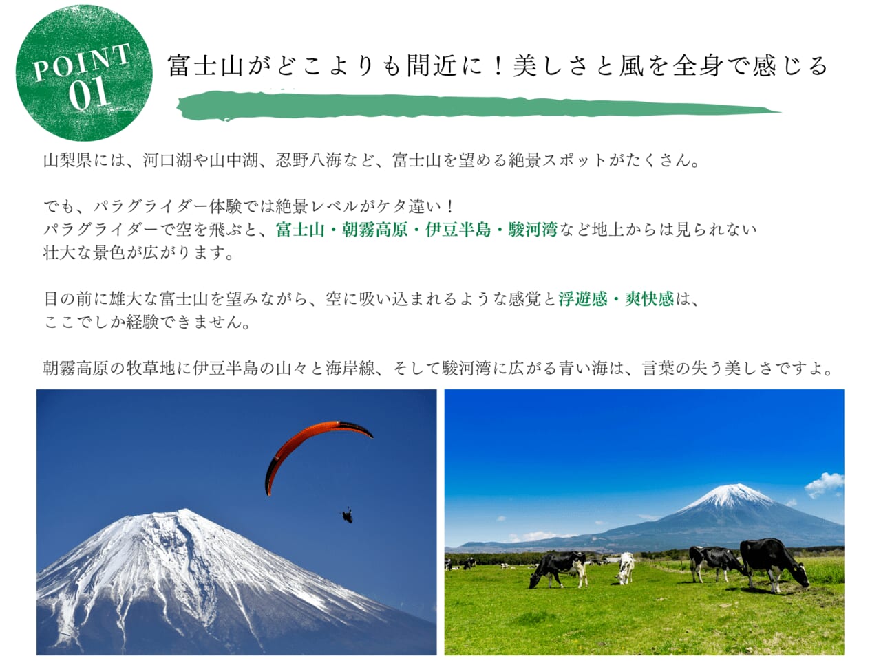パラグライダー